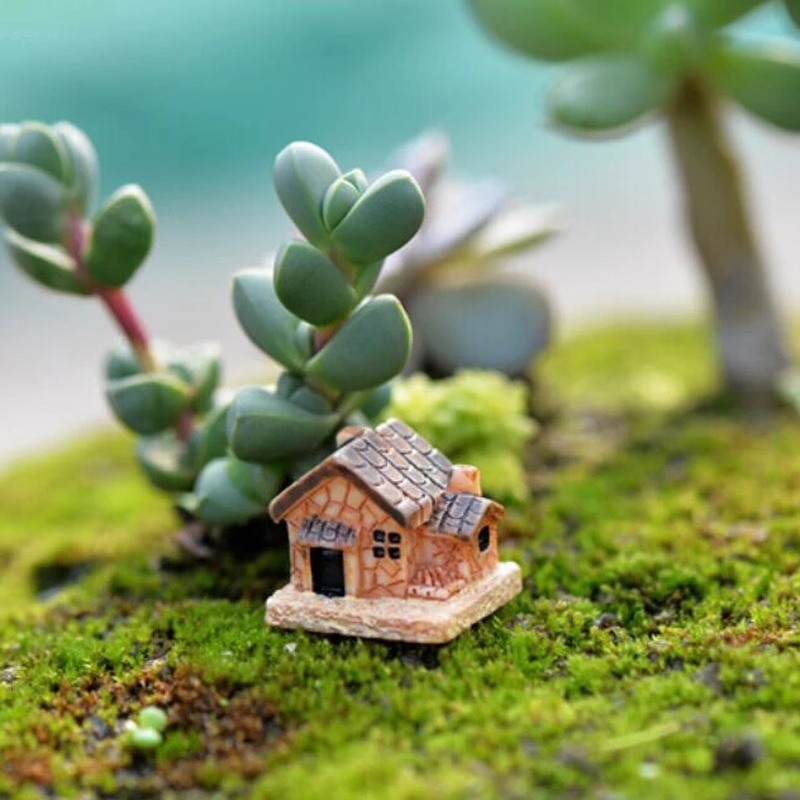 5 uds Mini casa de muñecas cas - Home Decor Za reseña y precio