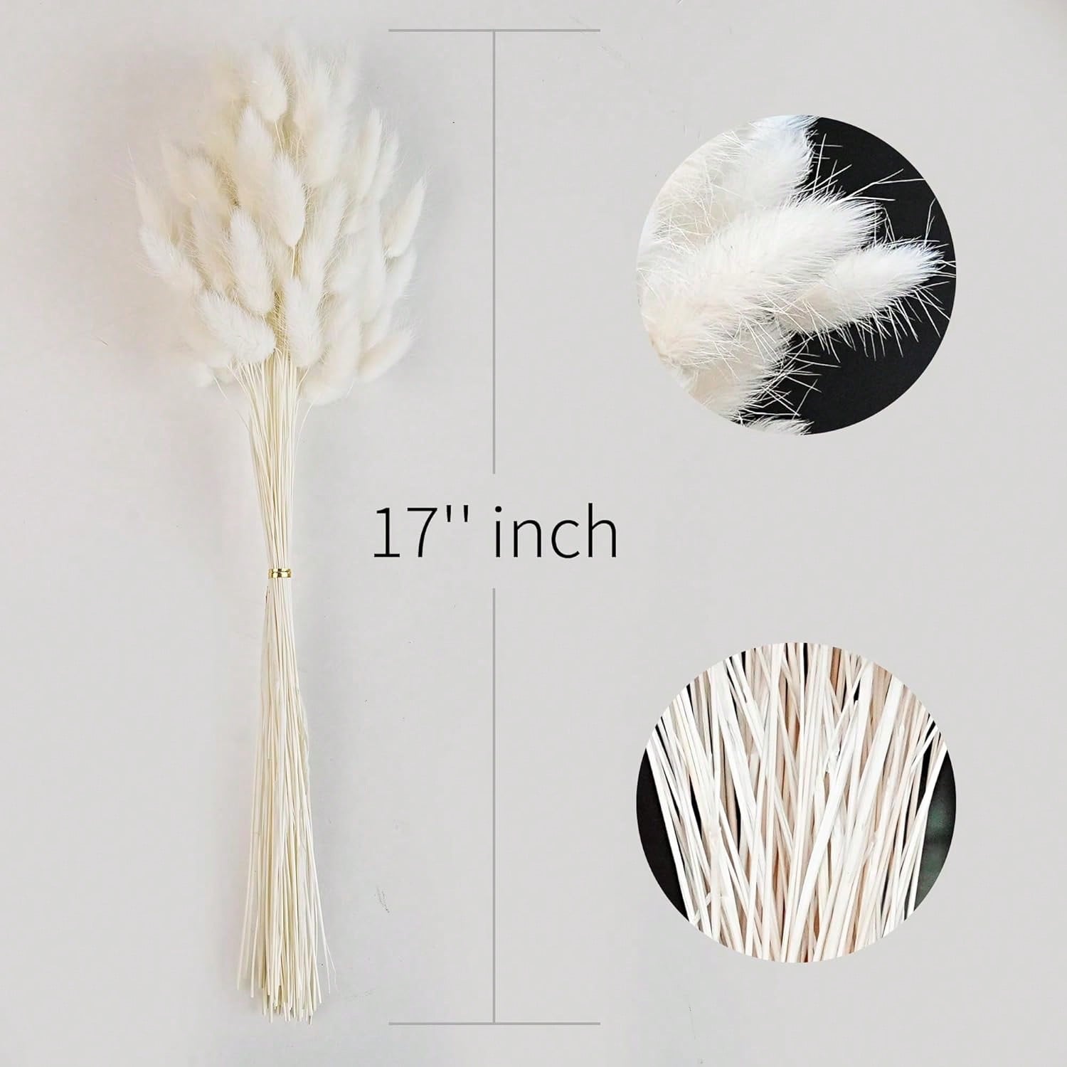 120 Uds. Decoración de hierba  - Pampas Grass Decor reseña y precio