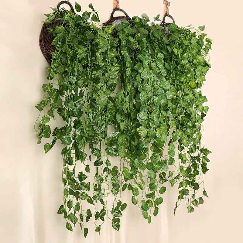 Planta colgante de pared de rá - Rattan Plant Basket reseña y precio
