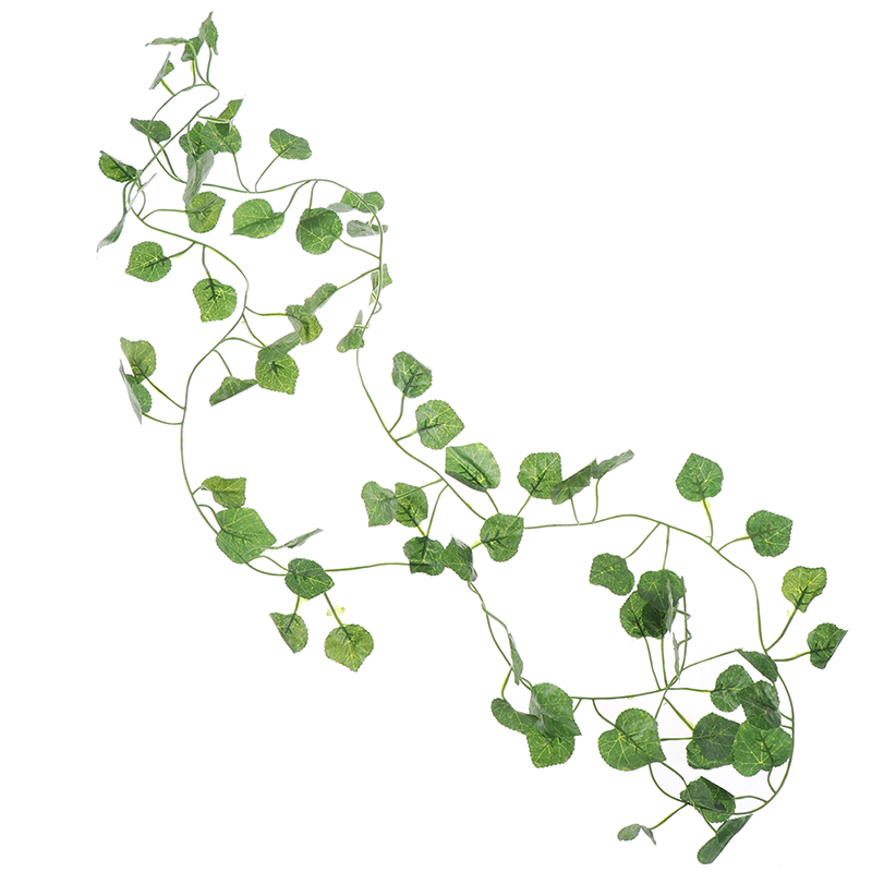 Hoja de plantas verdes de vid  - Rattan Plant Basket reseña y precio