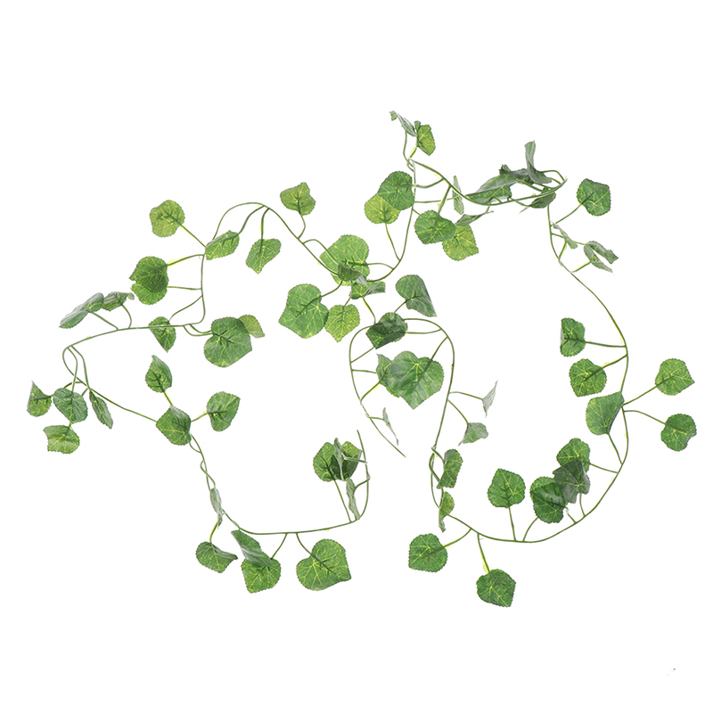 Hoja de plantas verdes de vid  - Rattan Plant Basket reseña y precio